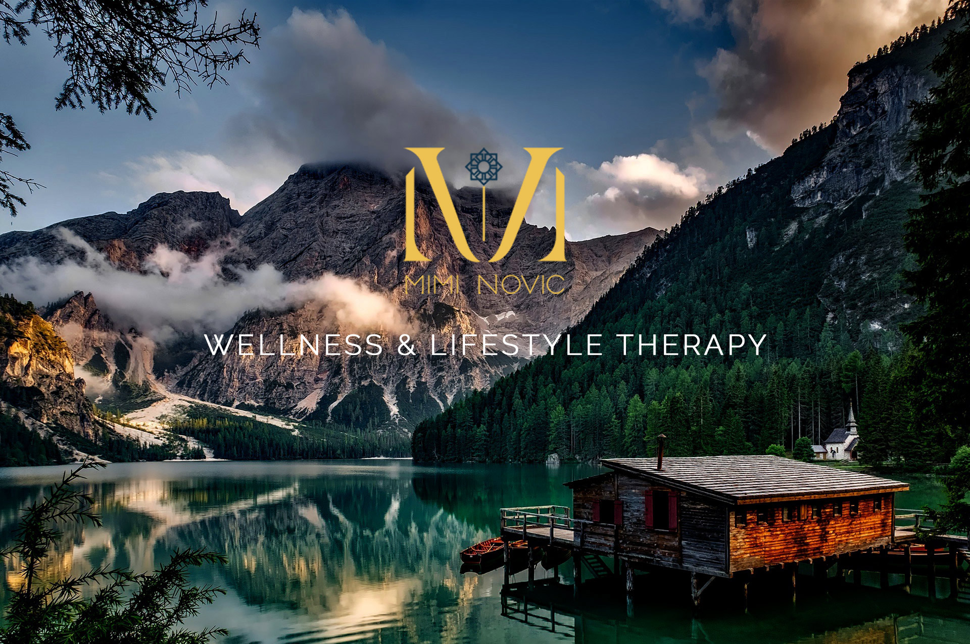 WELLNESS & LIFESTYLE THERAPY